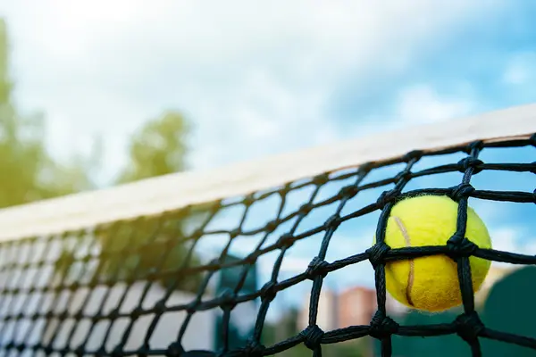 Tenis y Padel